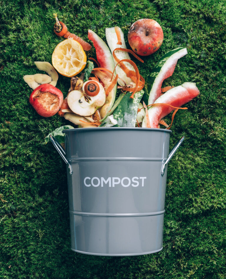 Peeled vegetables in white compost bin on green grass, moss background. Trash bin for composting with leftover from kitchen. Top view. Recycling scarps concept. Sustainable and zero waste lifestyle.